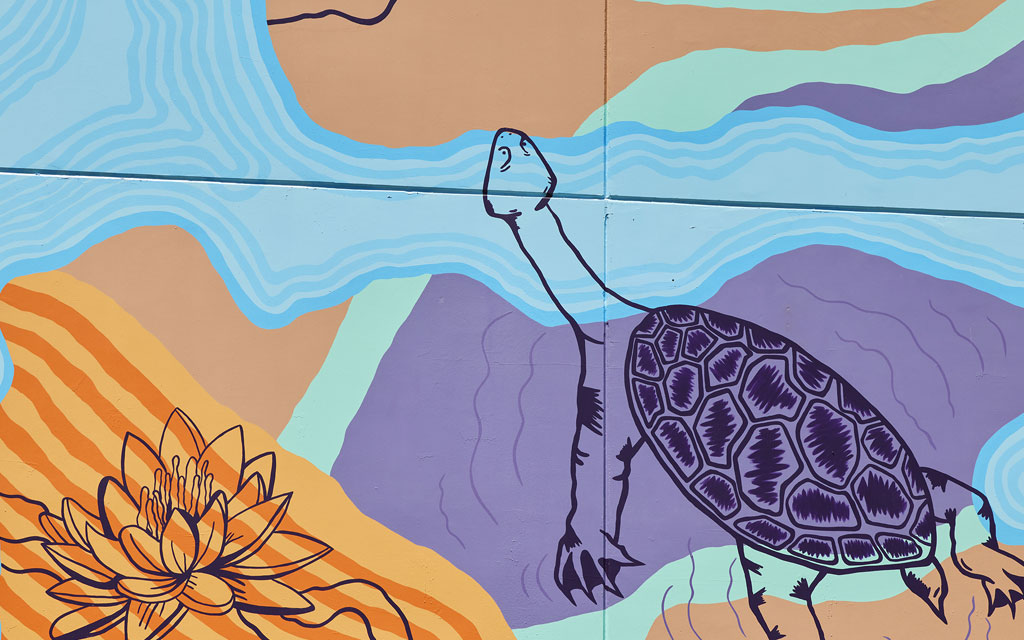 A swimming turtle detail on the Lilardia mural