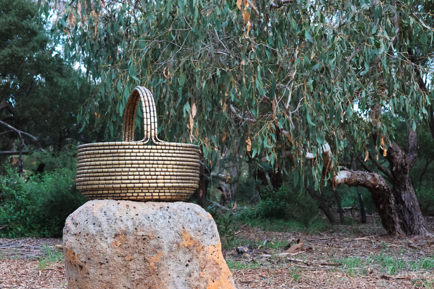 Binak Ngarrgu, Basket of Knowledge