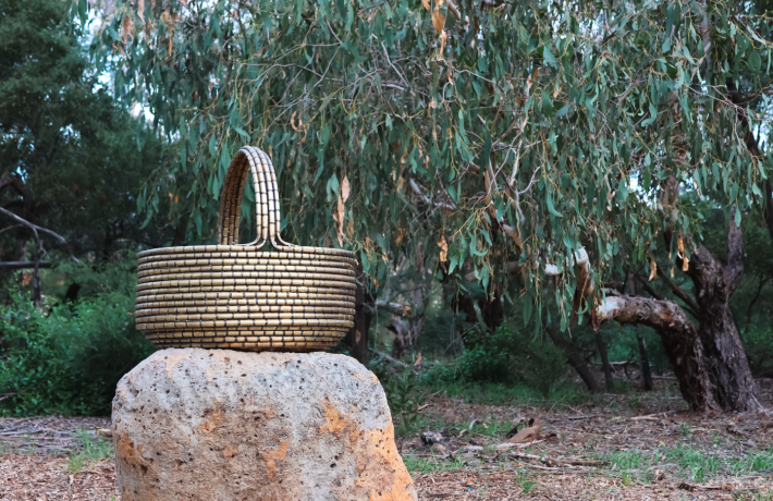 Binak Ngarrgu, Basket of Knowledge